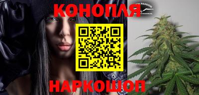 герыч Кингисепп