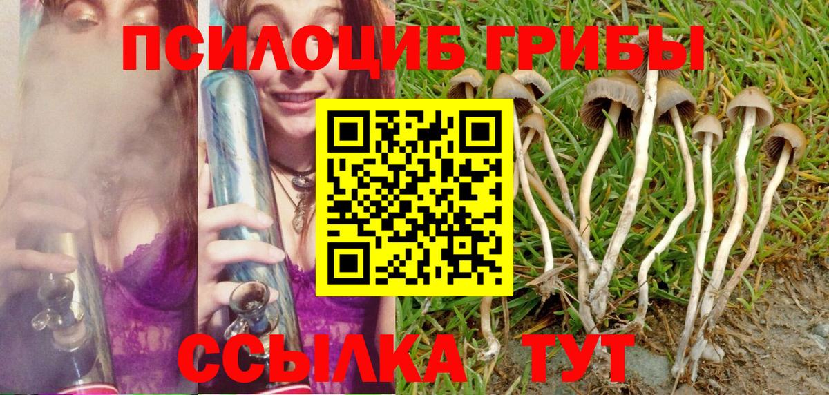 Галлюциногенные грибы Cubensis  Псилоцибиновые грибы мицелий  Вход с VPN  Железноводск 